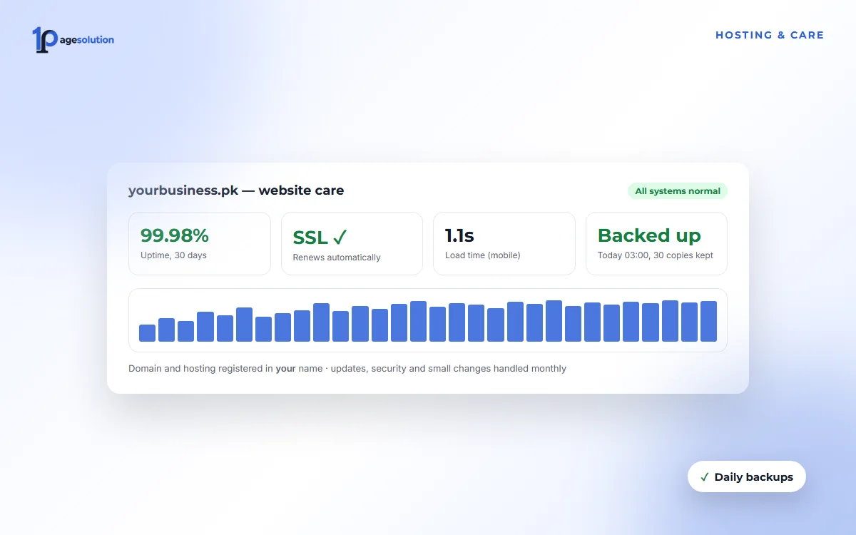 Hosting Setup & Website Care